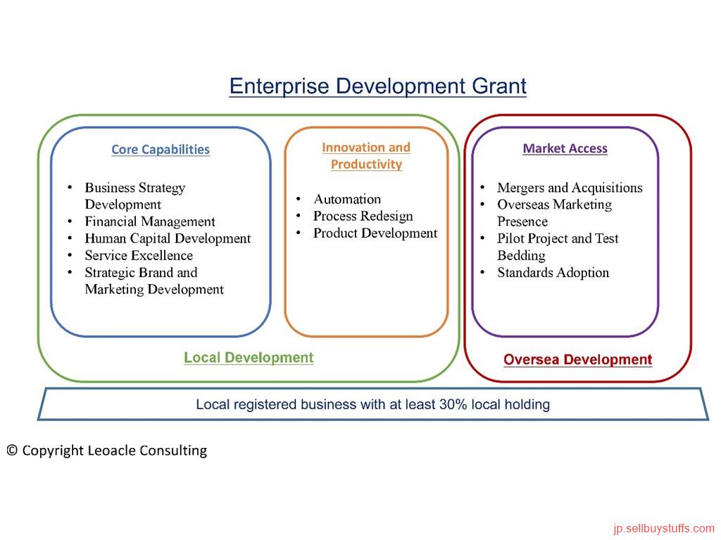 Business Enterprise Development Grant from Leoacle Consultancy